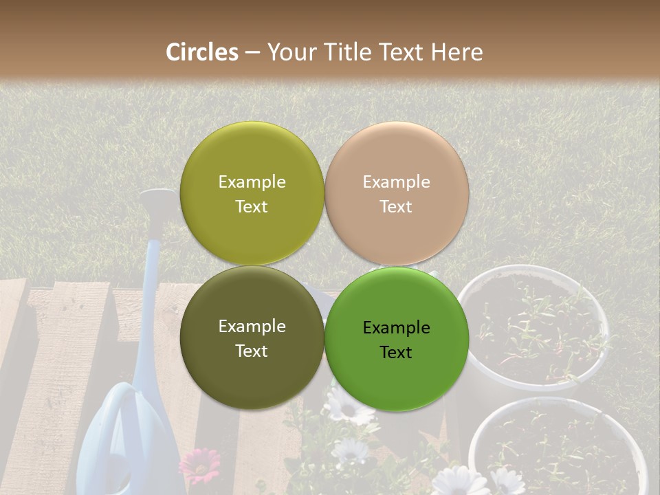 Concept Growth Summer PowerPoint Template