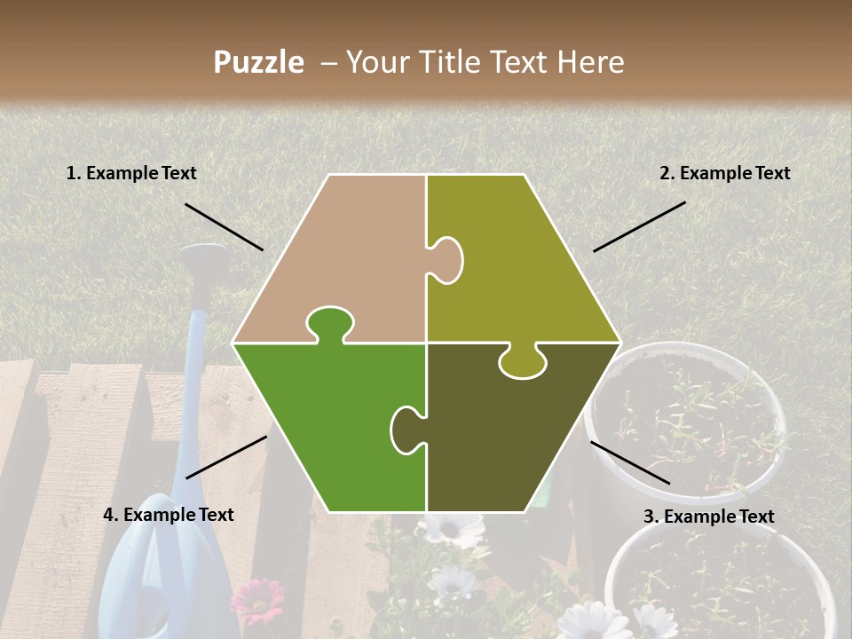 Concept Growth Summer PowerPoint Template