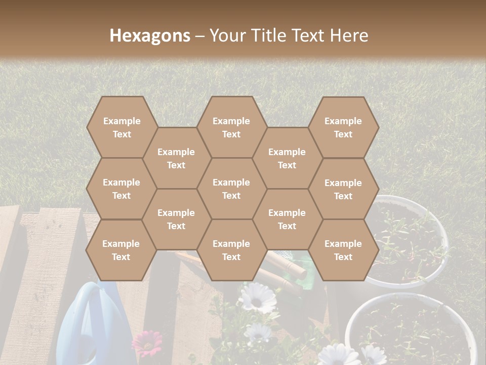 Concept Growth Summer PowerPoint Template