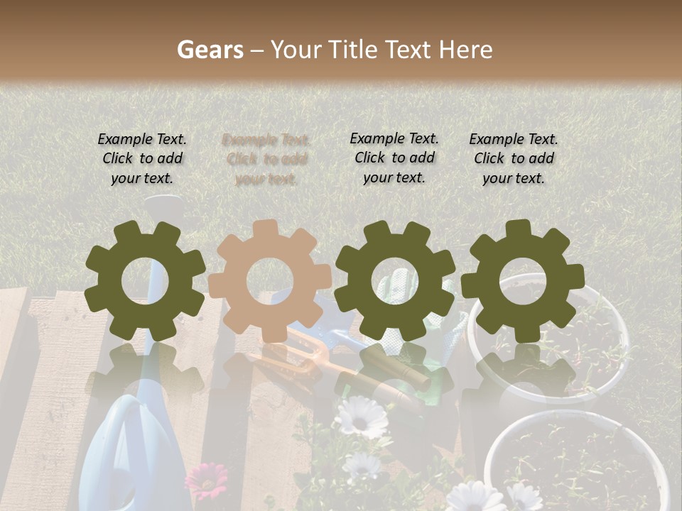 Concept Growth Summer PowerPoint Template