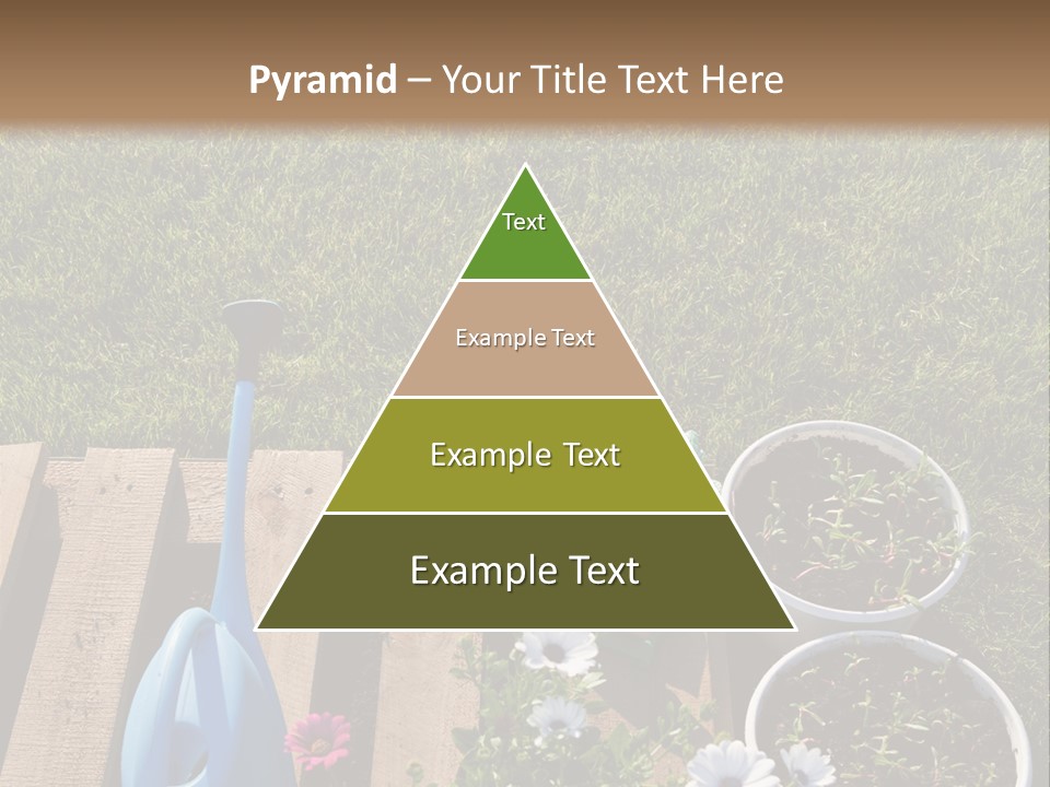 Concept Growth Summer PowerPoint Template