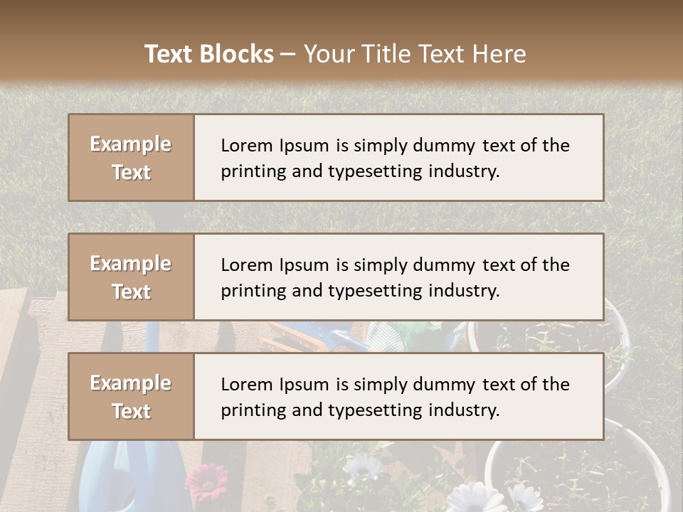 Concept Growth Summer PowerPoint Template