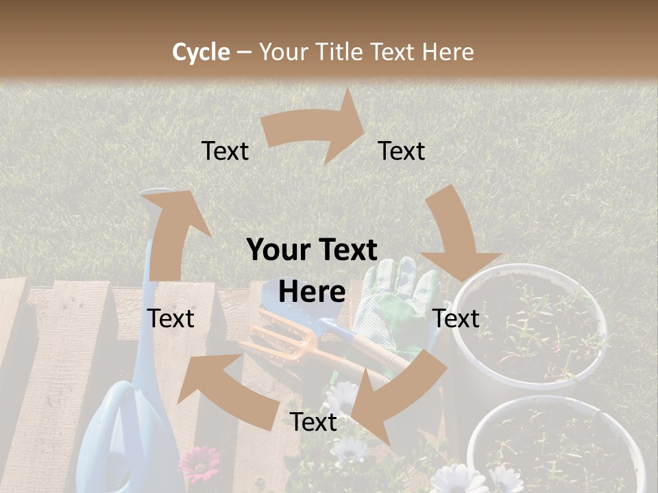 Concept Growth Summer PowerPoint Template