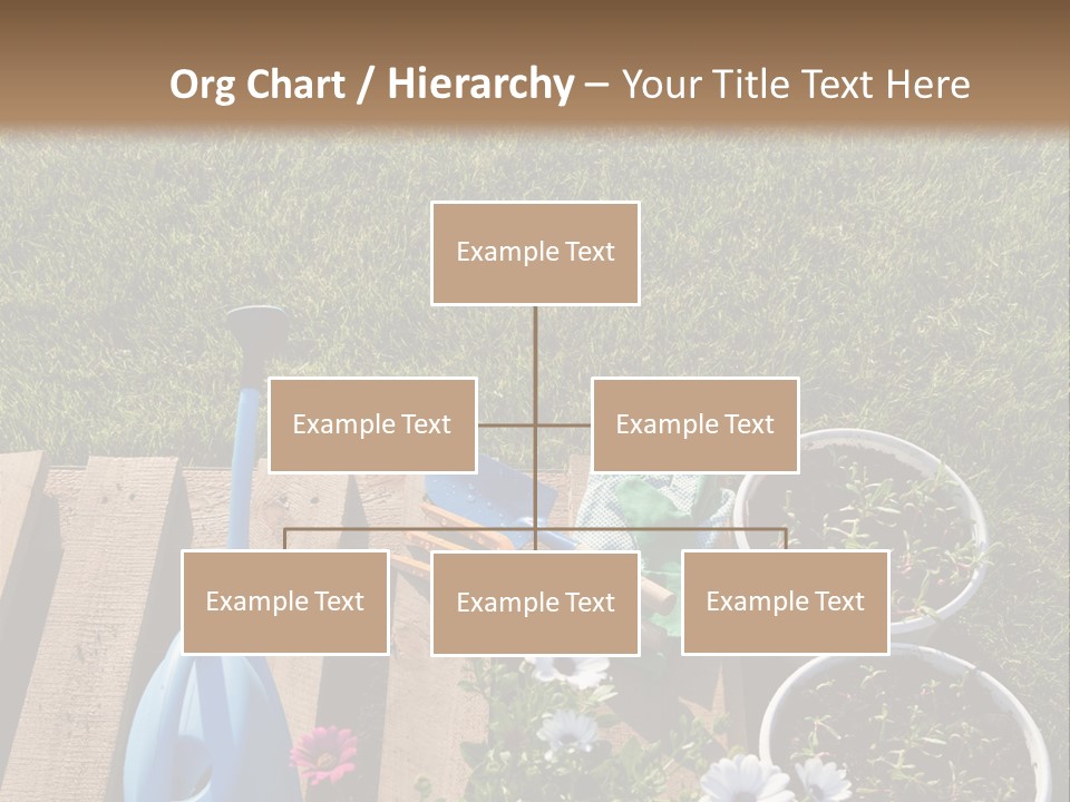 Concept Growth Summer PowerPoint Template