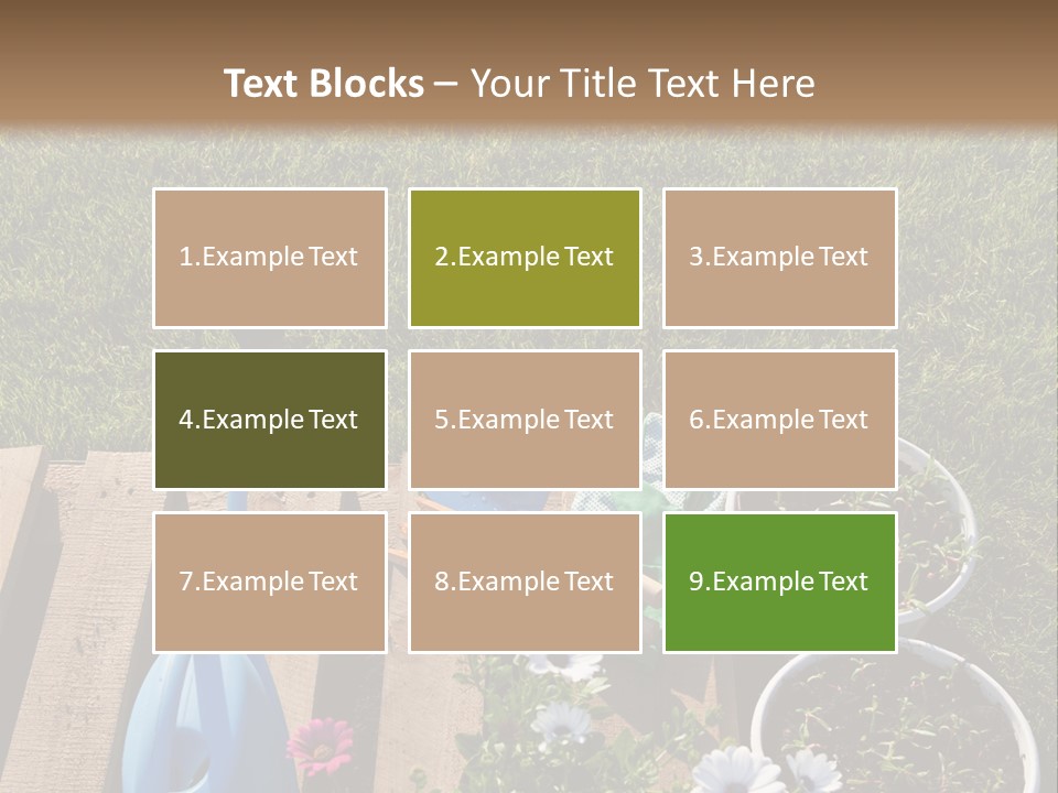 Concept Growth Summer PowerPoint Template