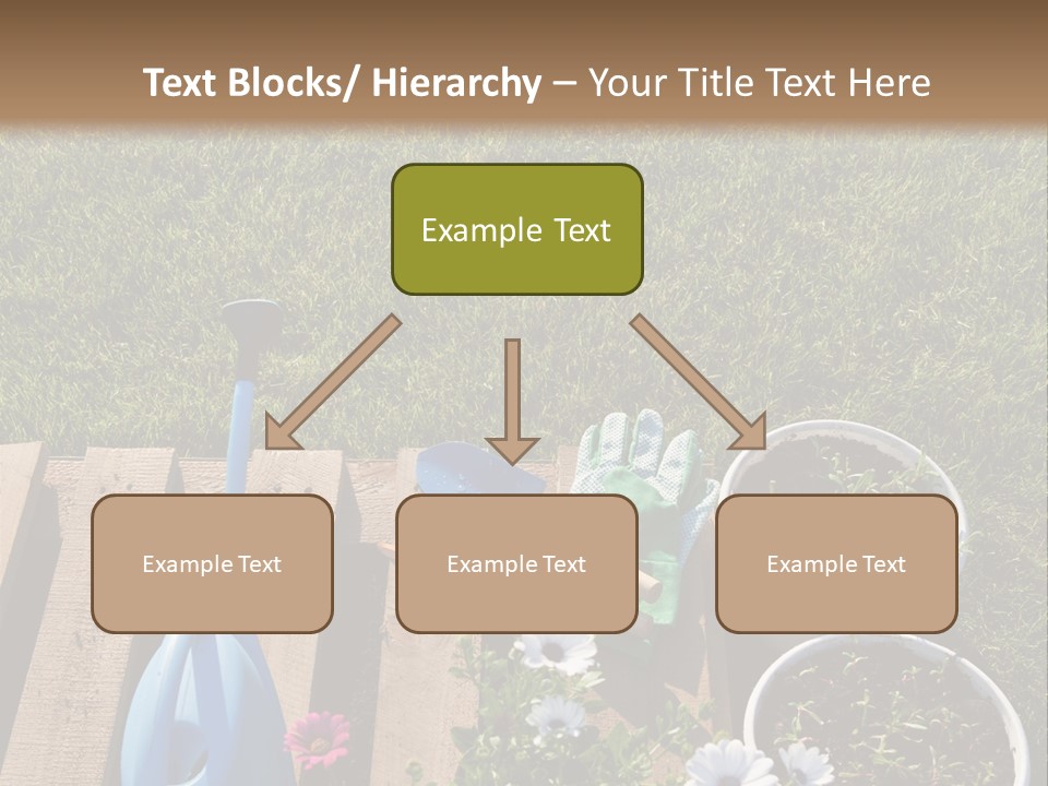Concept Growth Summer PowerPoint Template