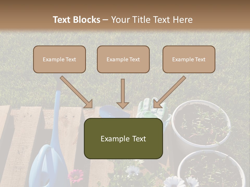Concept Growth Summer PowerPoint Template