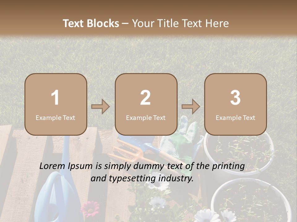 Concept Growth Summer PowerPoint Template