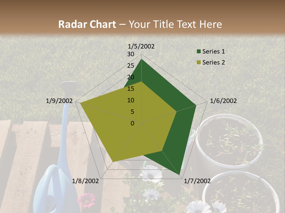 Concept Growth Summer PowerPoint Template