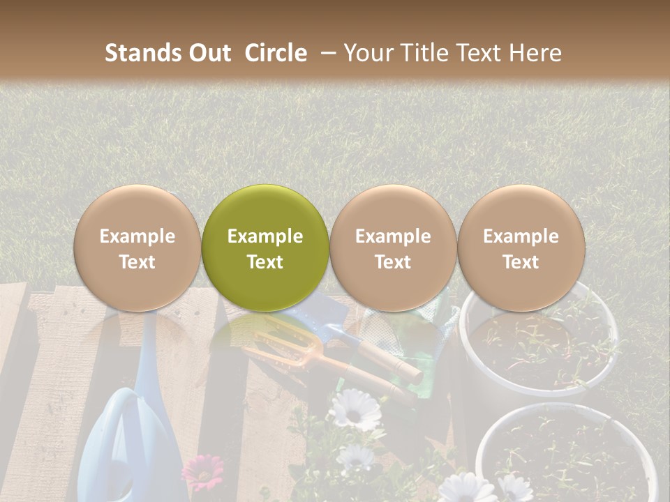 Concept Growth Summer PowerPoint Template