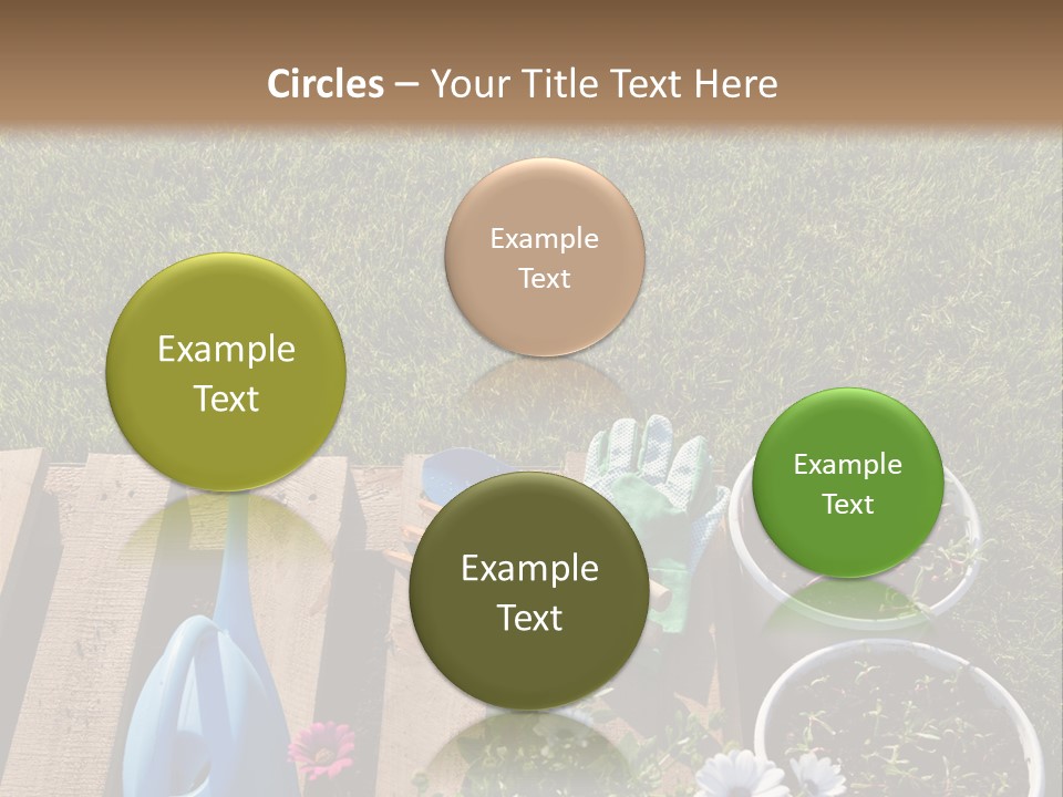 Concept Growth Summer PowerPoint Template