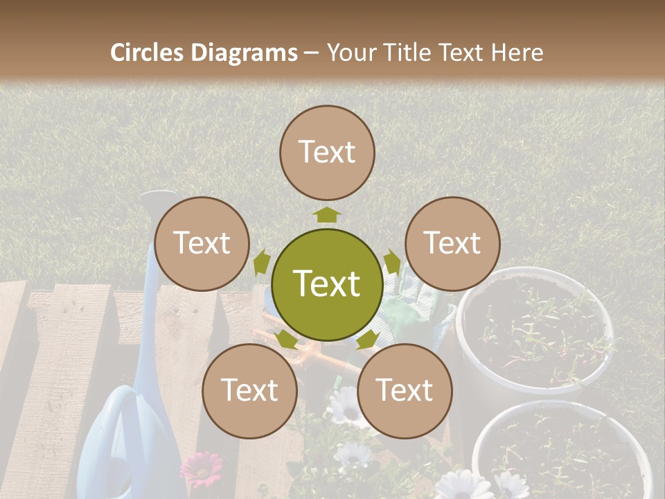 Concept Growth Summer PowerPoint Template