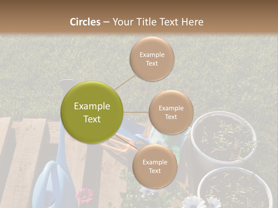 Concept Growth Summer PowerPoint Template
