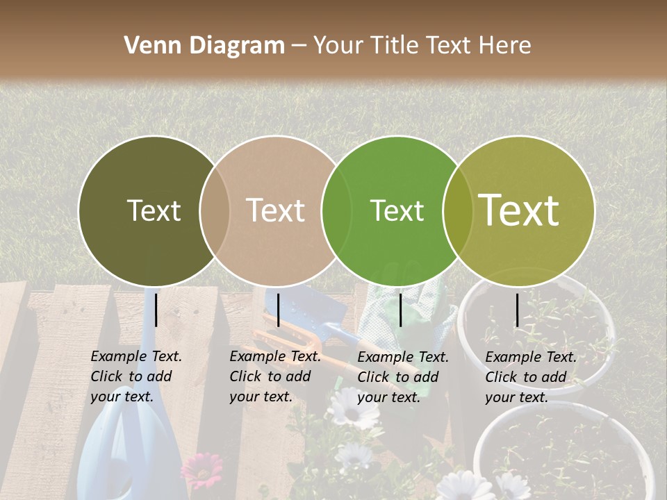 Concept Growth Summer PowerPoint Template