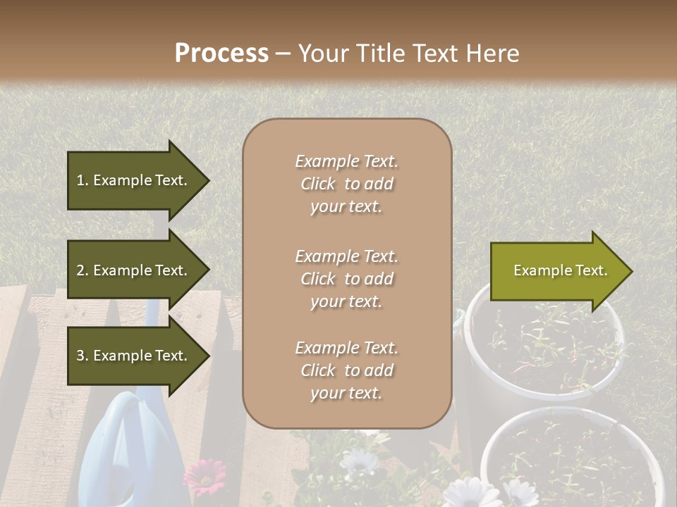 Concept Growth Summer PowerPoint Template