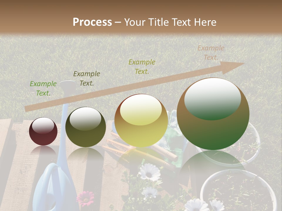 Concept Growth Summer PowerPoint Template