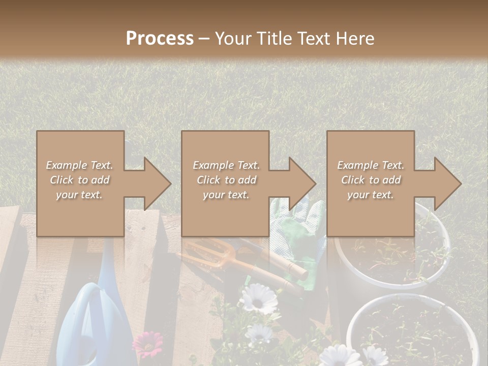 Concept Growth Summer PowerPoint Template
