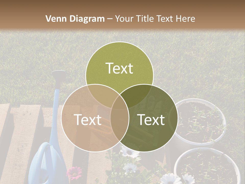 Concept Growth Summer PowerPoint Template