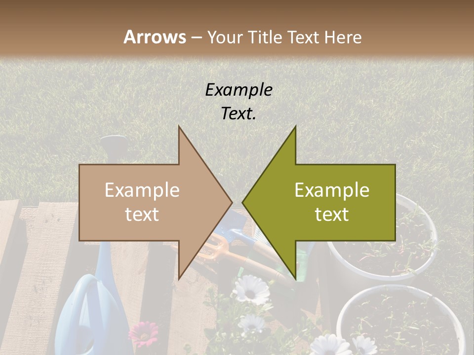 Concept Growth Summer PowerPoint Template