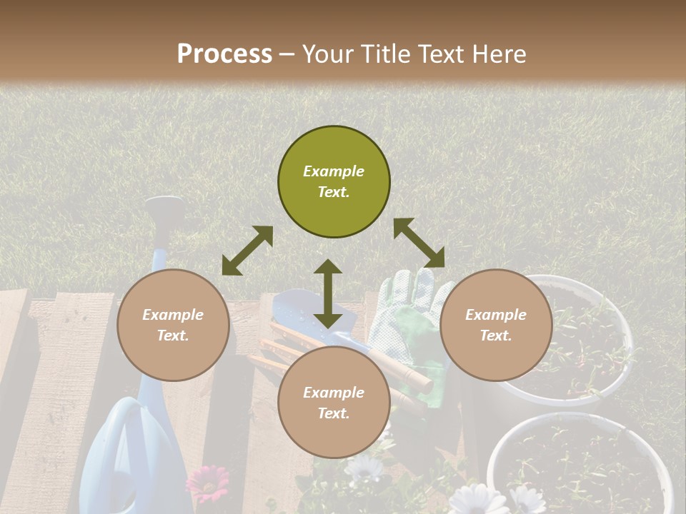Concept Growth Summer PowerPoint Template