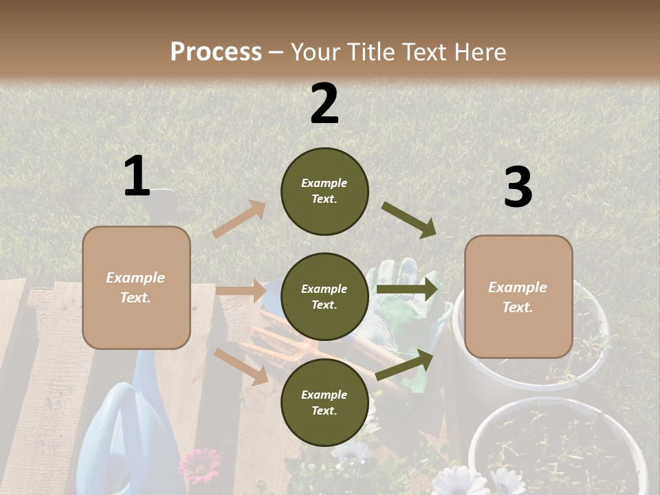 Concept Growth Summer PowerPoint Template