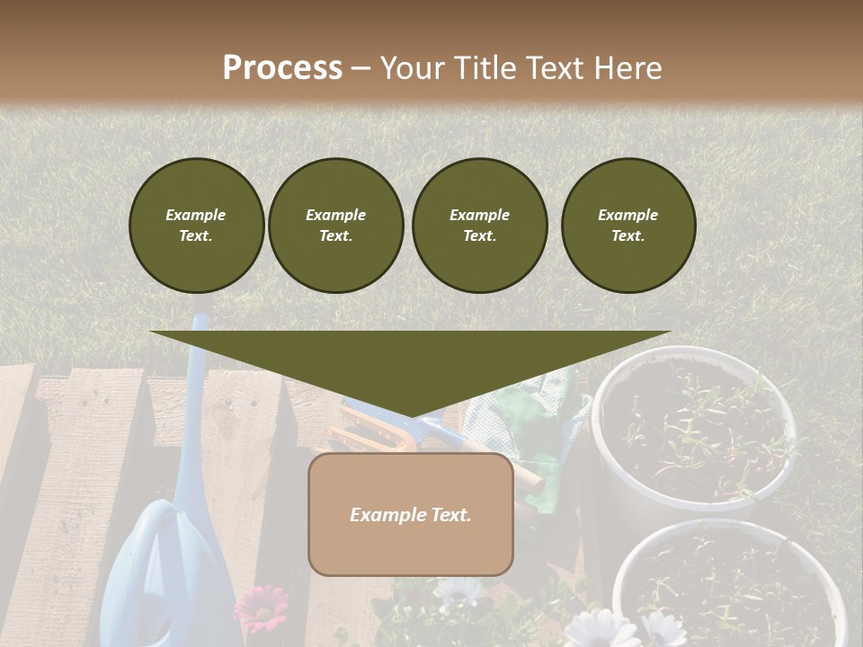 Concept Growth Summer PowerPoint Template
