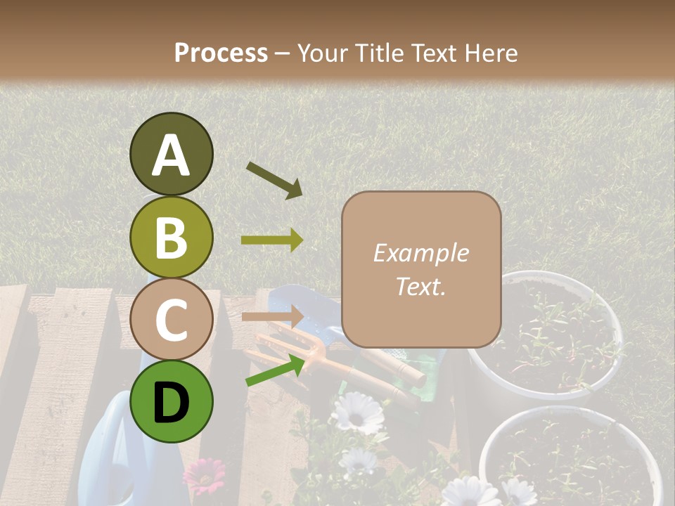 Concept Growth Summer PowerPoint Template