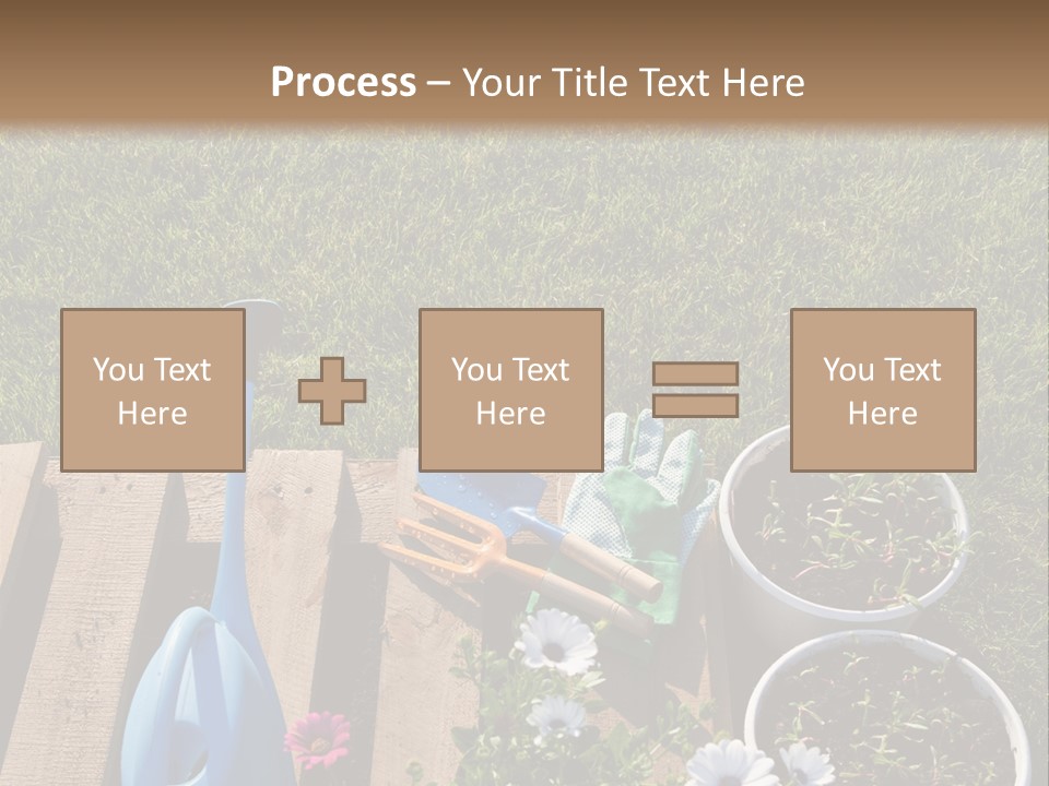 Concept Growth Summer PowerPoint Template