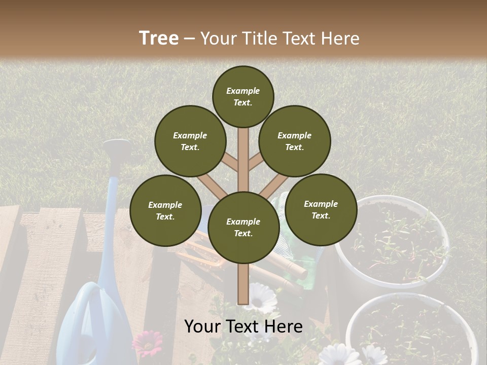 Concept Growth Summer PowerPoint Template