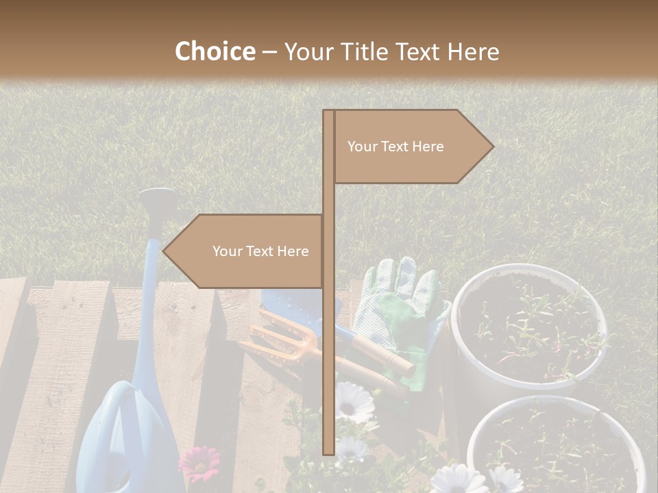Concept Growth Summer PowerPoint Template