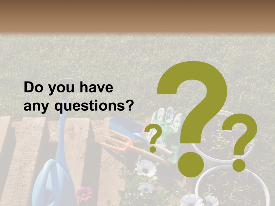 Concept Growth Summer PowerPoint Template