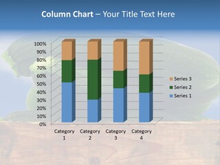 Healthy Salad Bunch PowerPoint Template