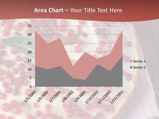 Nobody Homemade Currant PowerPoint Template