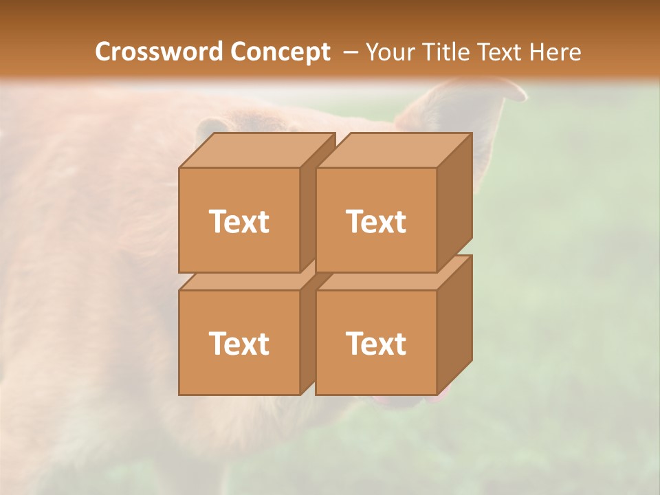 Sad Homeless Outdoor PowerPoint Template