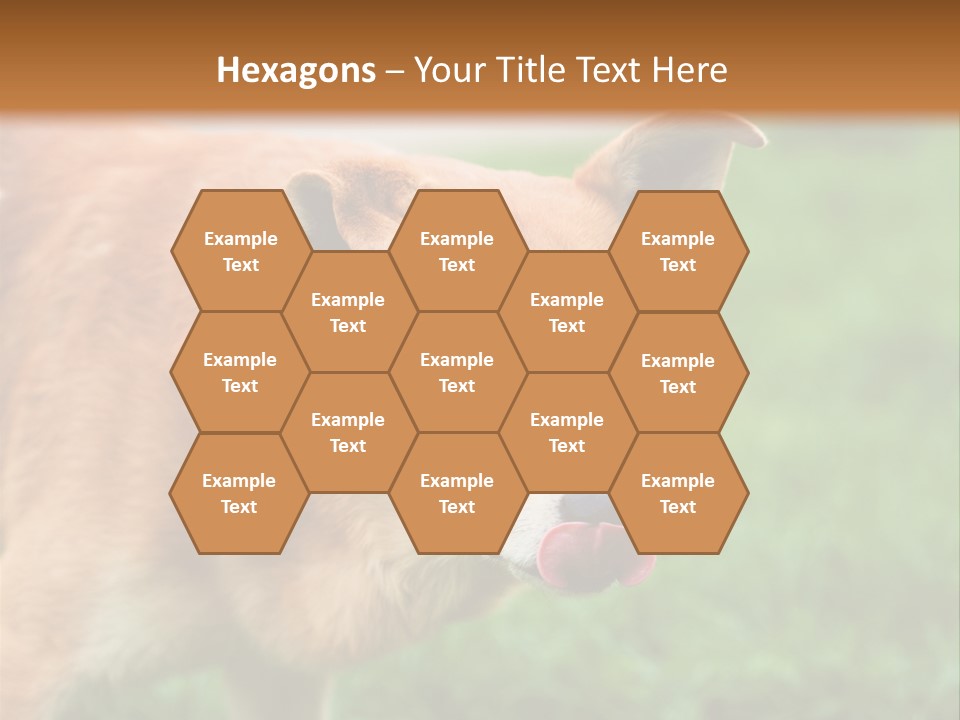 Sad Homeless Outdoor PowerPoint Template