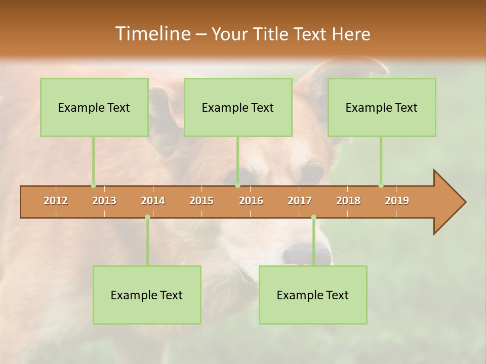 Sad Homeless Outdoor PowerPoint Template