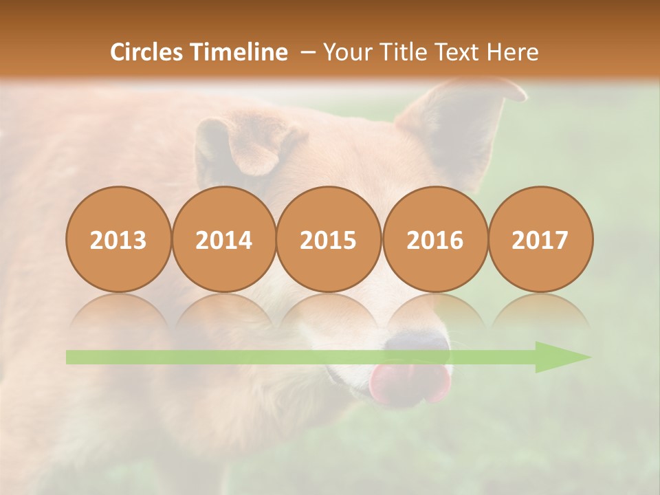 Sad Homeless Outdoor PowerPoint Template