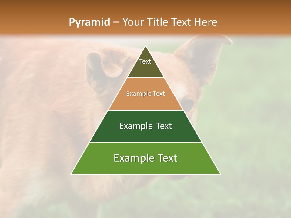 Sad Homeless Outdoor PowerPoint Template