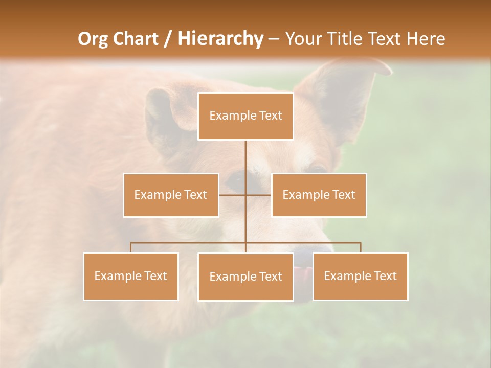 Sad Homeless Outdoor PowerPoint Template