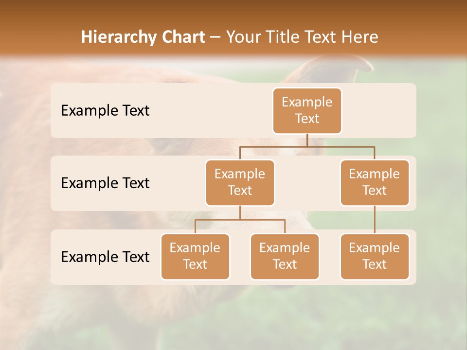 Sad Homeless Outdoor PowerPoint Template