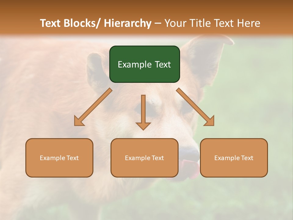 Sad Homeless Outdoor PowerPoint Template