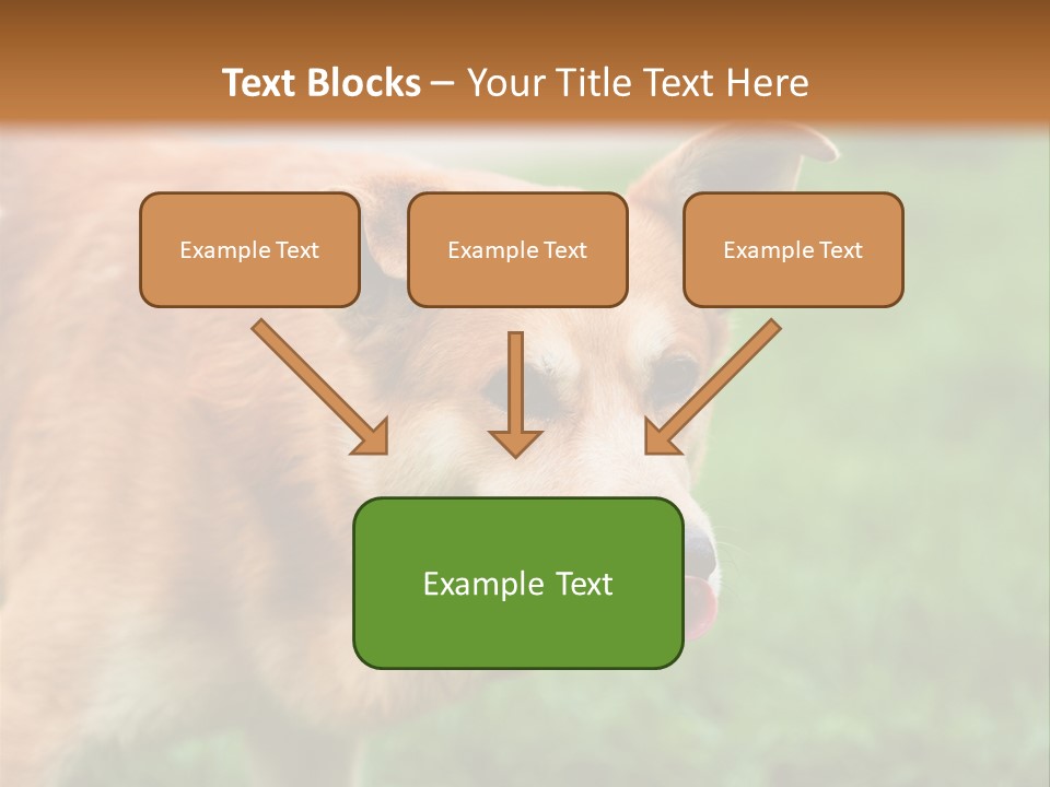 Sad Homeless Outdoor PowerPoint Template