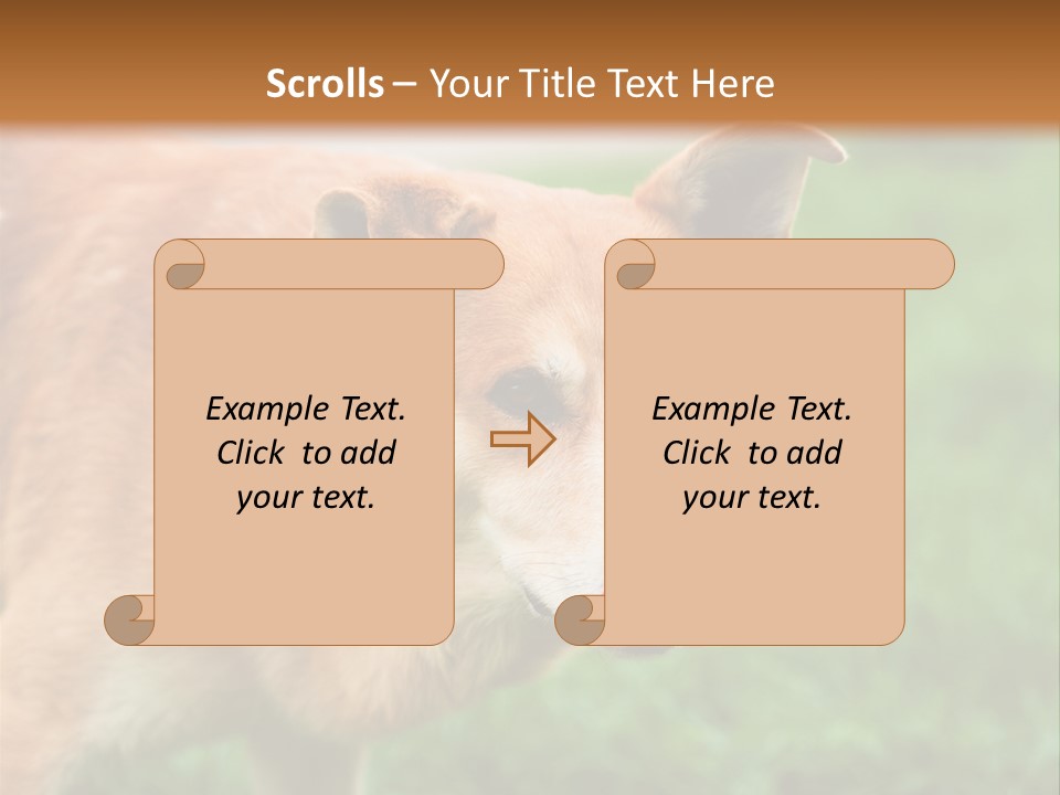 Sad Homeless Outdoor PowerPoint Template