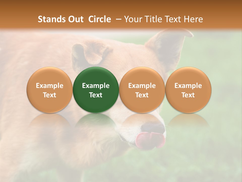 Sad Homeless Outdoor PowerPoint Template