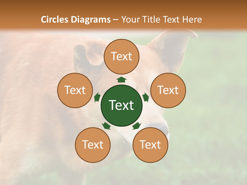 Sad Homeless Outdoor PowerPoint Template