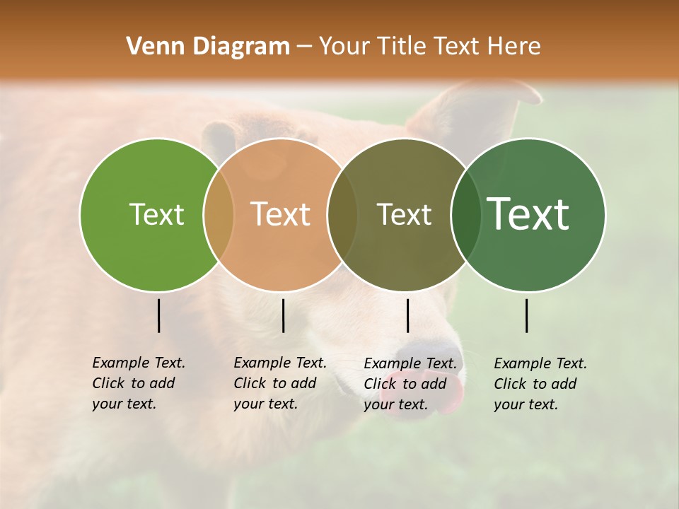 Sad Homeless Outdoor PowerPoint Template