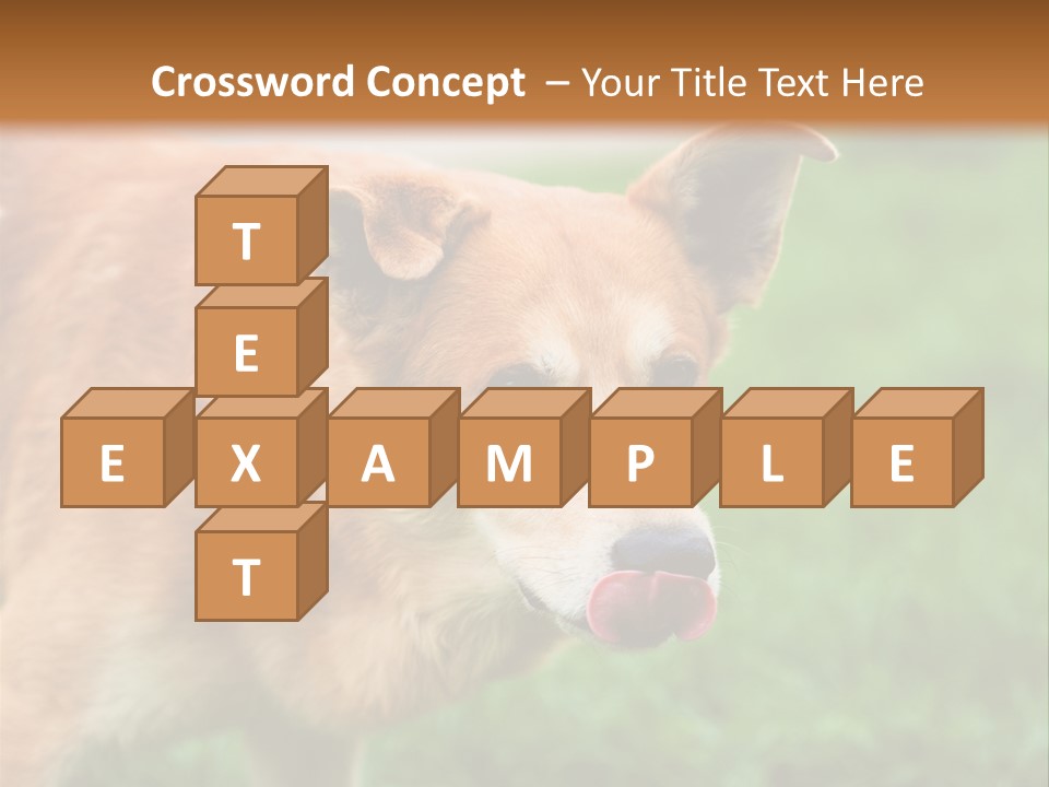 Sad Homeless Outdoor PowerPoint Template