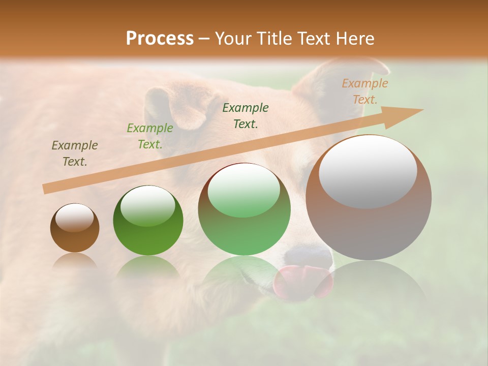 Sad Homeless Outdoor PowerPoint Template