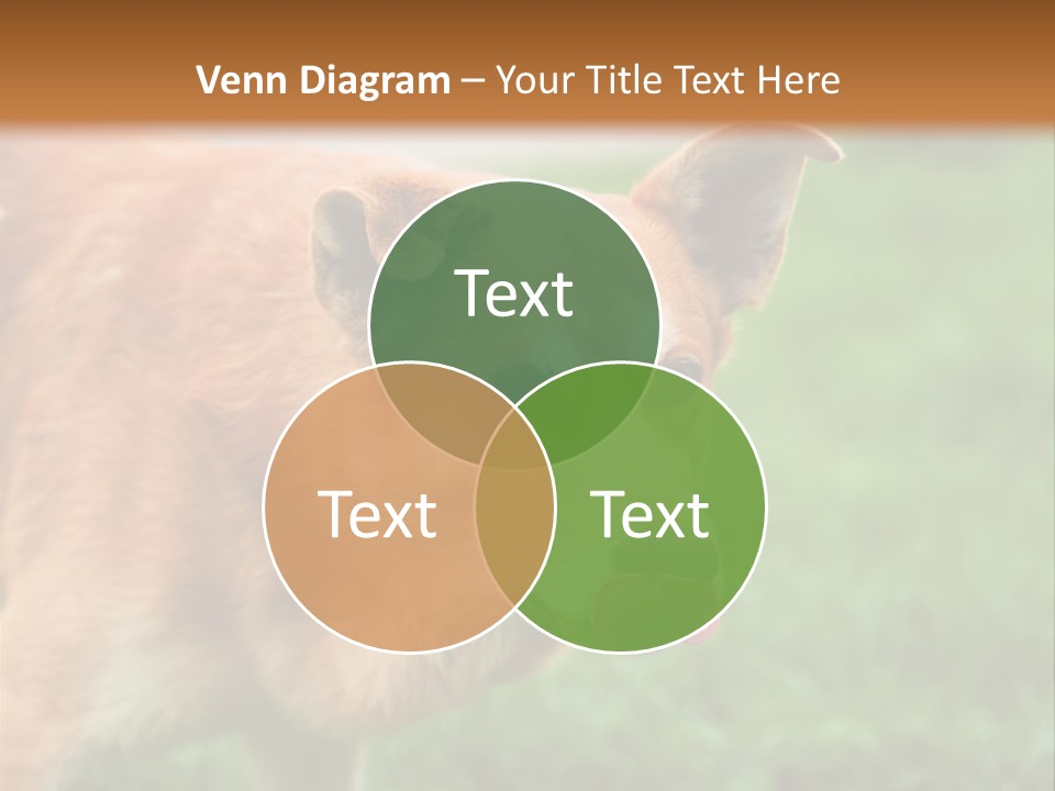 Sad Homeless Outdoor PowerPoint Template