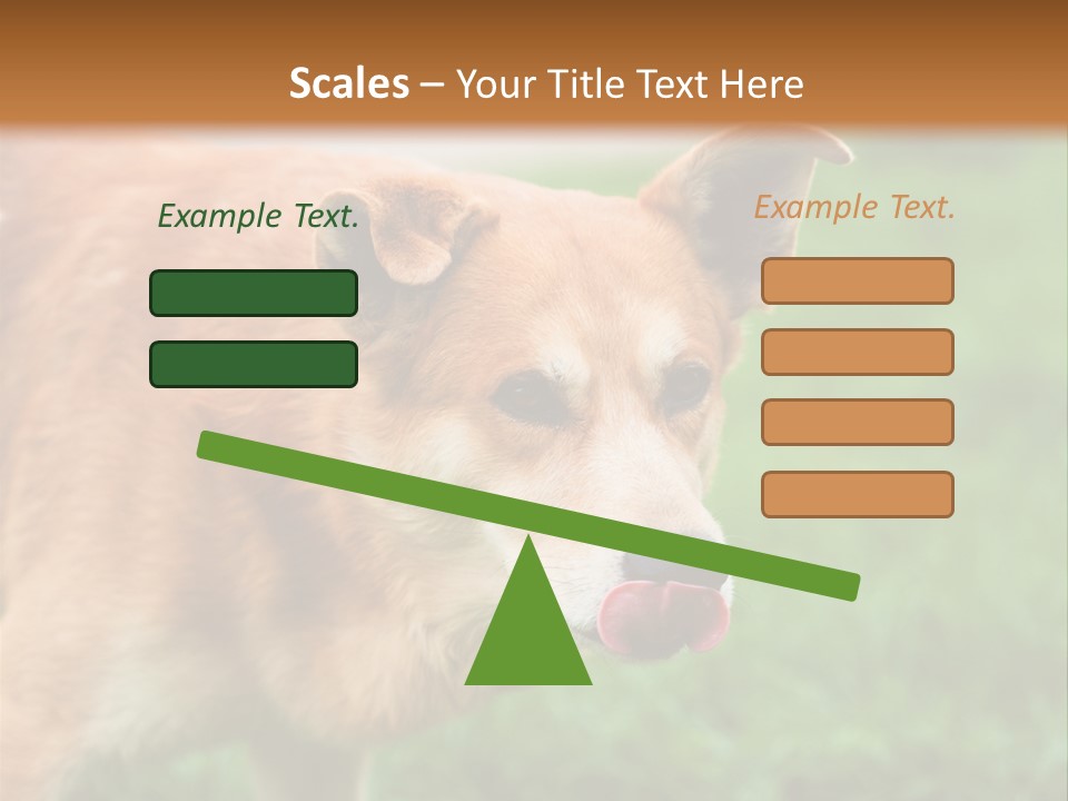 Sad Homeless Outdoor PowerPoint Template